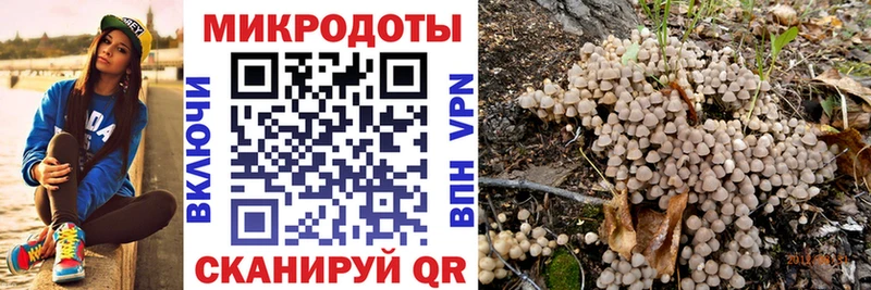 mega tor где найти shop наркотические препараты Псилоцибиновые грибы мухоморы Высоцк