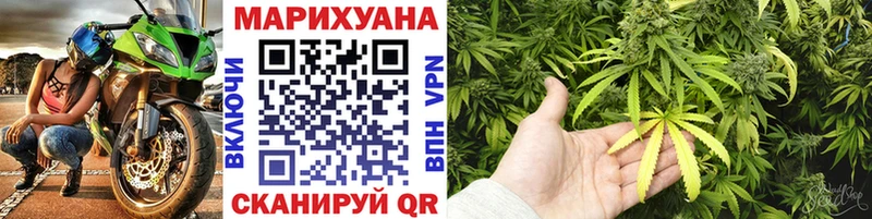 KRAKEN ONION  Высоцк  Шишки марихуана тримм 